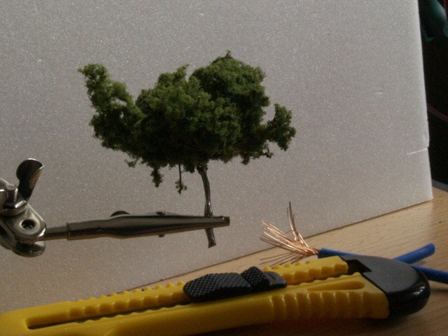 Baum-2.jpg