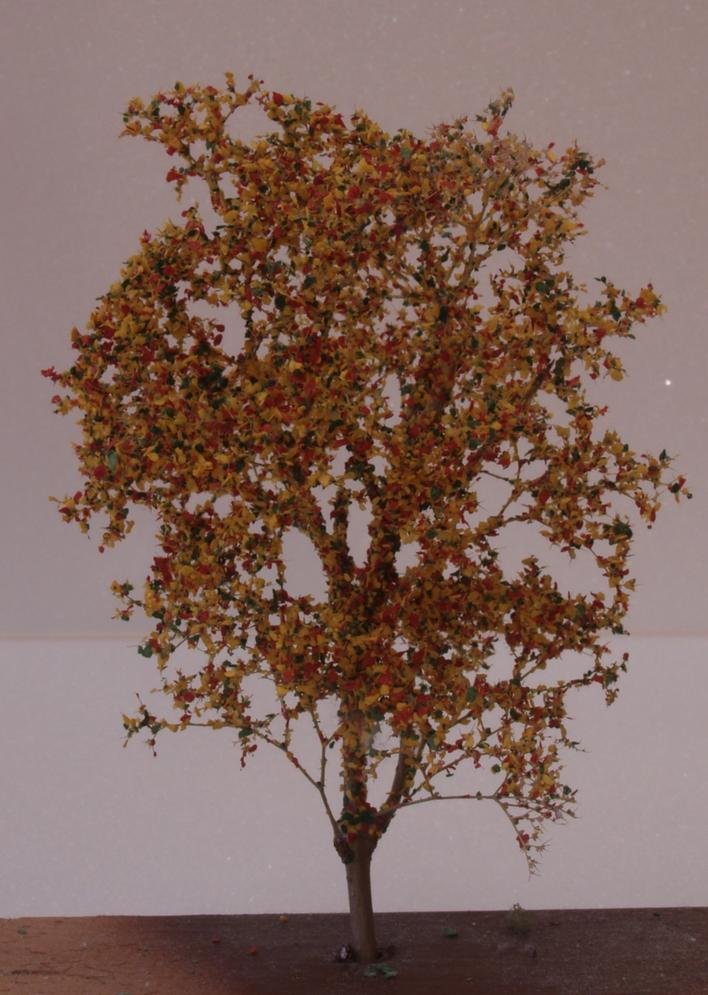 Baum-9.jpg