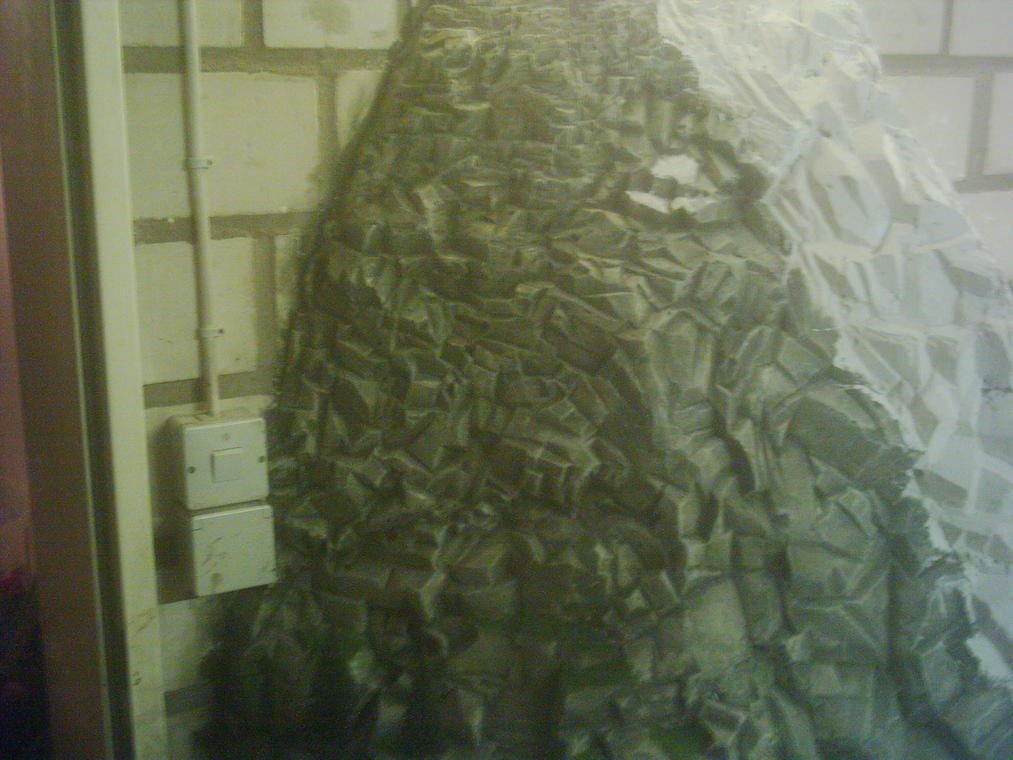 DSCI0007.jpg