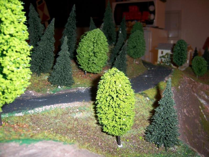 100_1797.jpg