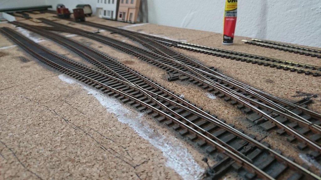 DSC_0016 (1).JPG DSC_0016 (1).JPG