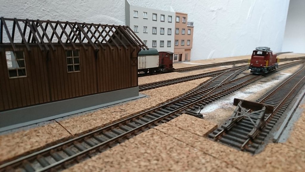 DSC_0066.JPG DSC_0066.JPG