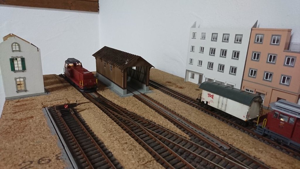 DSC_0088.JPG DSC_0088.JPG