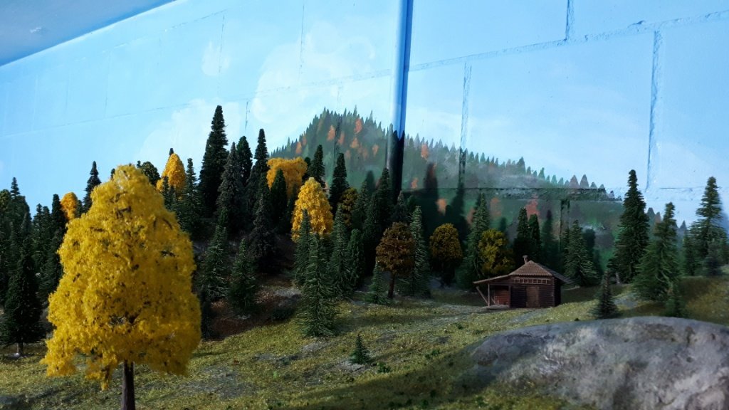 IMG_20181007_061438.jpg