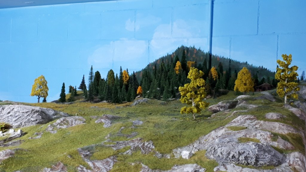 IMG_20181007_061416.jpg