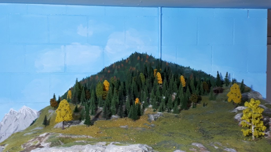 IMG_20181007_061319.jpg