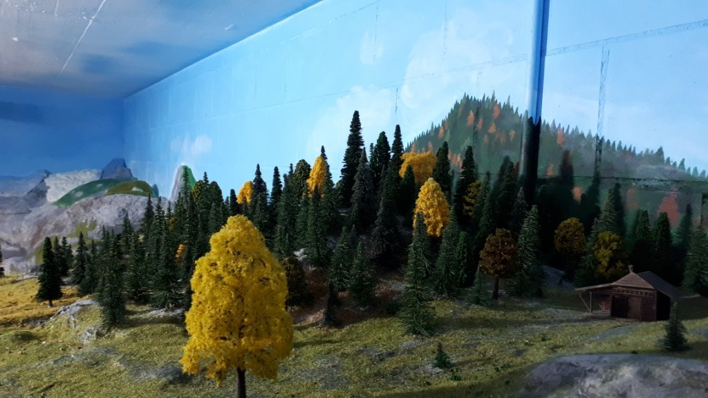 IMG_20181007_061138.jpg