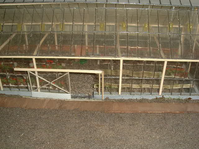 Rosenzucht_Gewaechshaus.JPG Rosenzucht_Gewaechshaus.JPG
