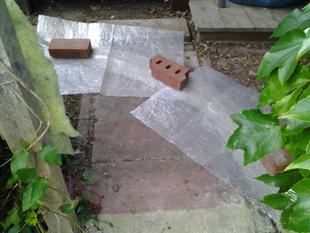 Foto2335.jpg Foto2335.jpg
