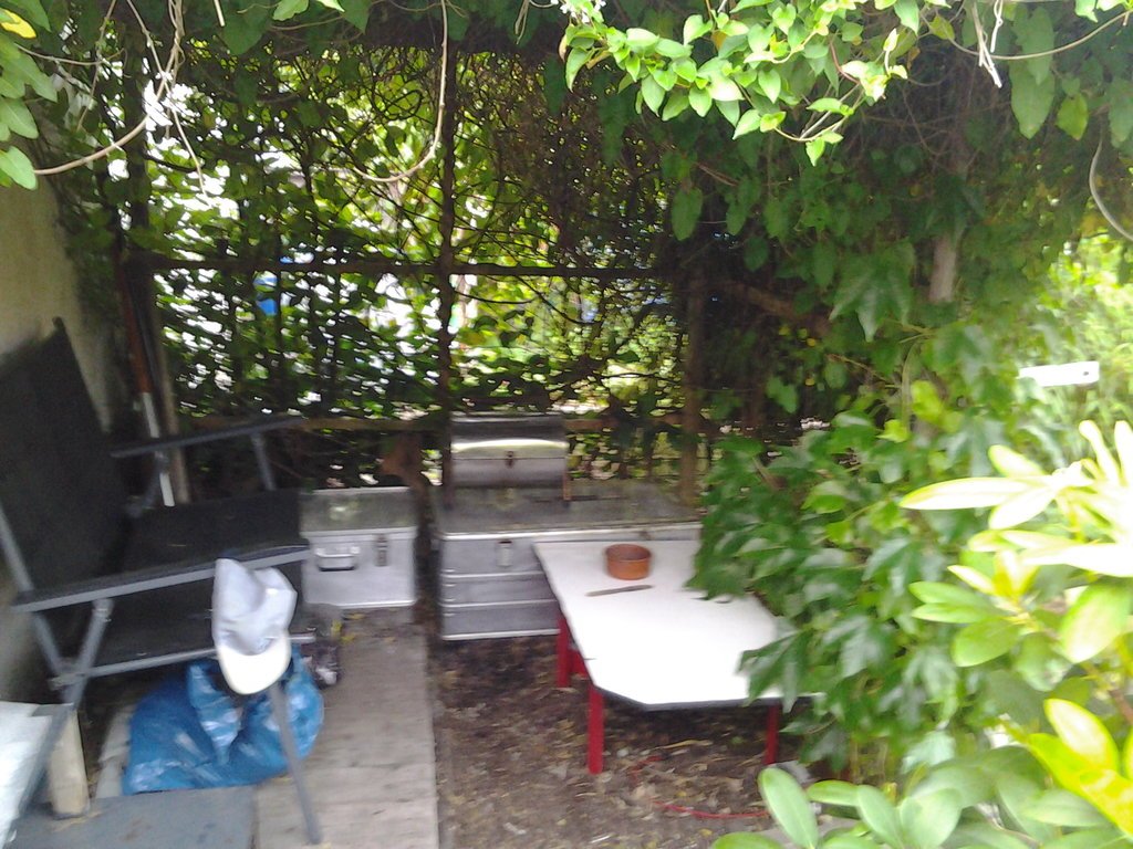 Foto2336.jpg Foto2336.jpg