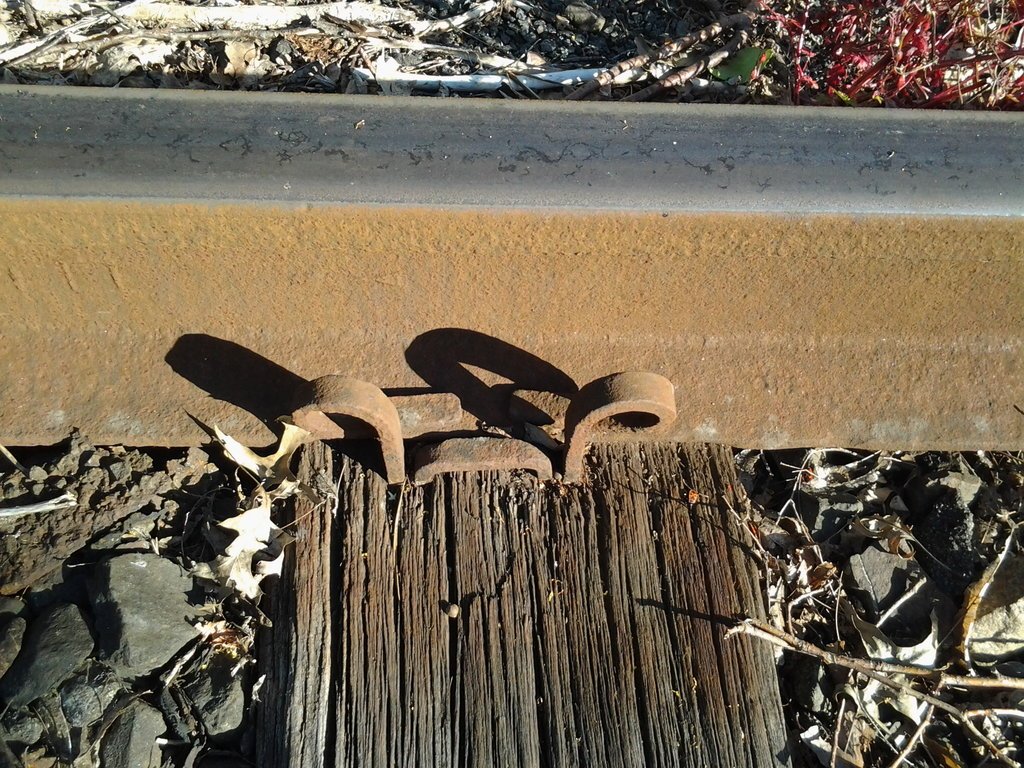 Foto2362.jpg Foto2362.jpg