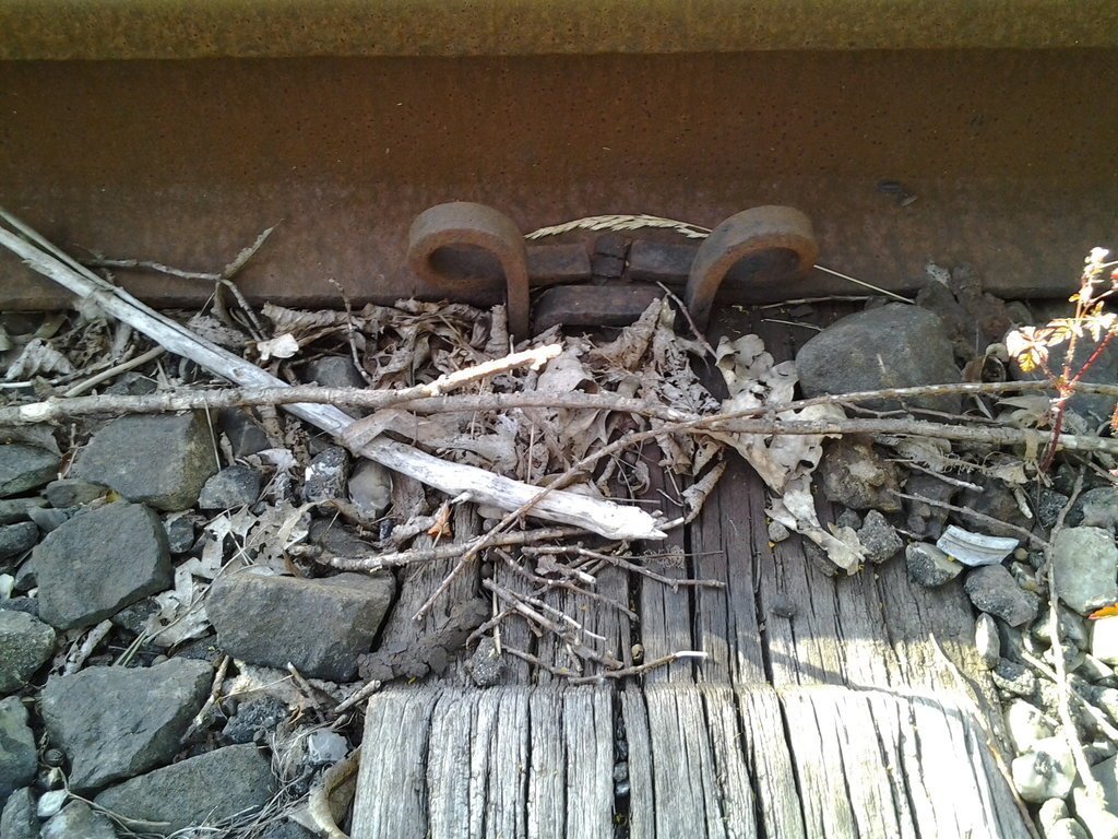 Foto2363.jpg Foto2363.jpg