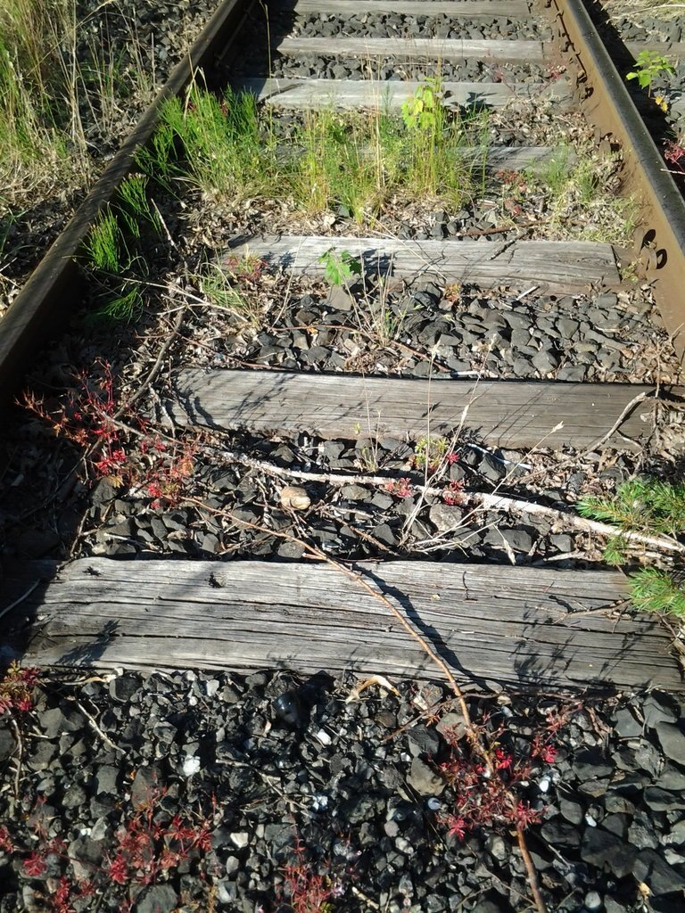 Foto2364.jpg Foto2364.jpg