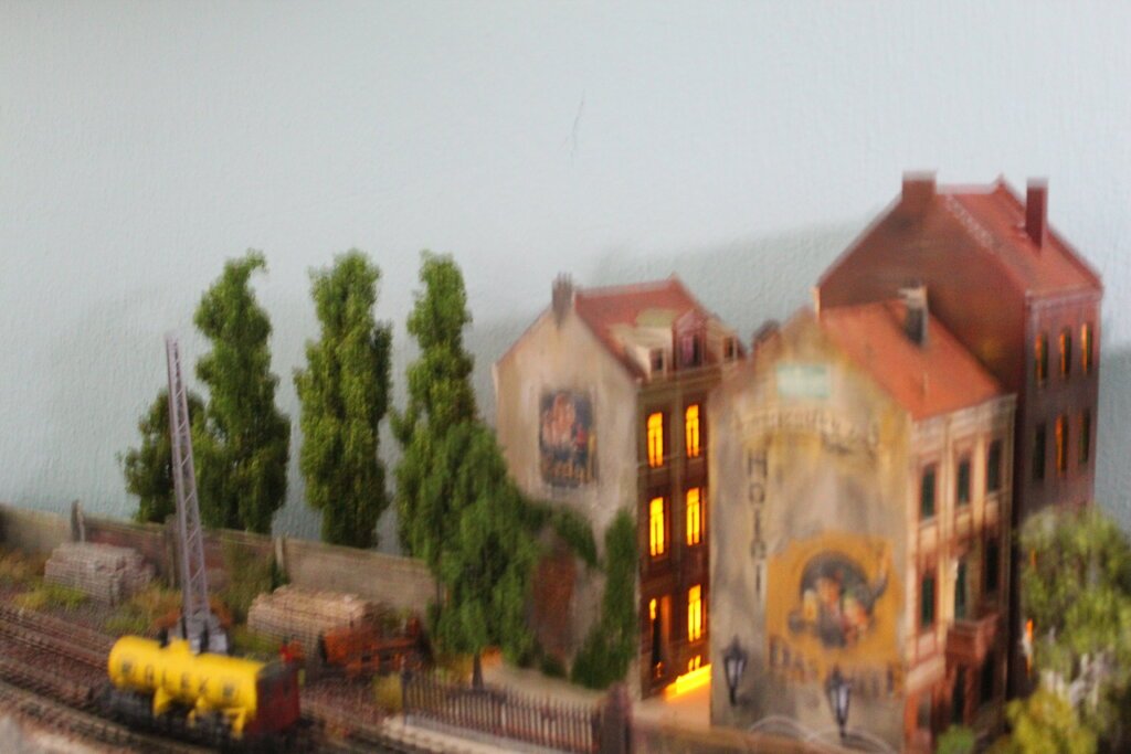 IMG_5534.JPG