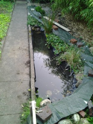 Teich_Platten_links.jpg