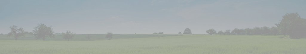 Hintergrund_weniger_Kontrast.jpeg Hintergrund_weniger_Kontrast.jpeg