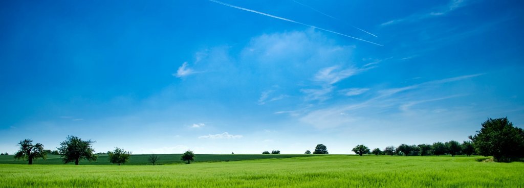 Hintergrund.jpeg Hintergrund.jpeg