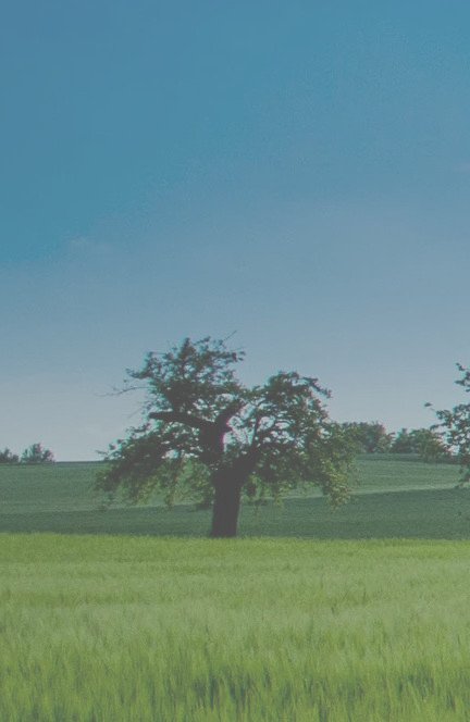 Hintergrund_01_V02.jpeg Hintergrund_01_V02.jpeg