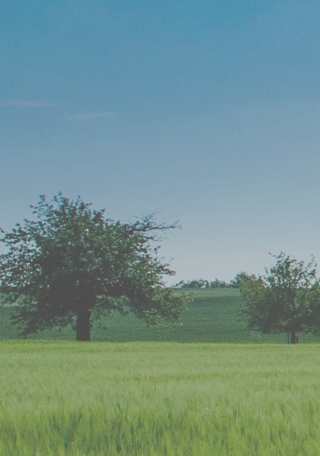 Hintergrund_02_V02.jpeg Hintergrund_02_V02.jpeg