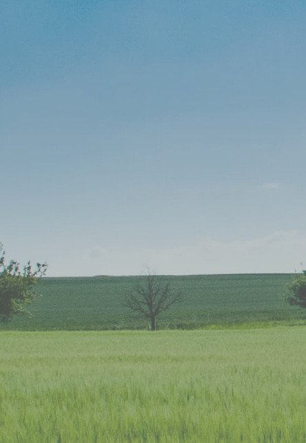 Hintergrund_03_V02.jpeg Hintergrund_03_V02.jpeg