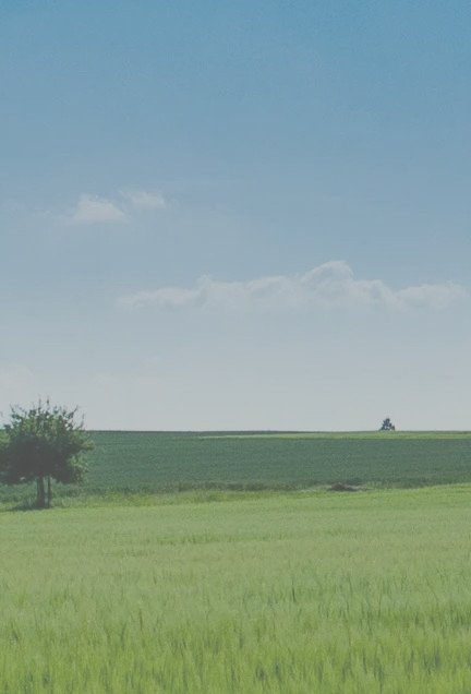 Hintergrund_04_V02.jpeg Hintergrund_04_V02.jpeg