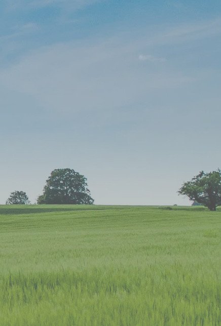 Hintergrund_06_V02.jpeg