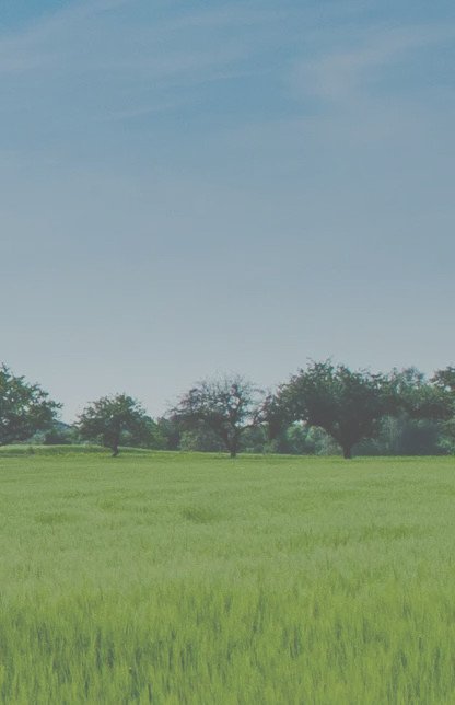 Hintergrund_07_V02.jpeg Hintergrund_07_V02.jpeg