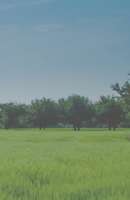 Hintergrund_08_V02.jpeg Hintergrund_08_V02.jpeg