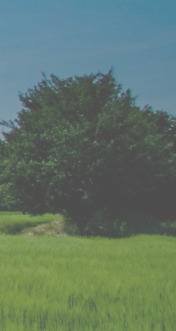 Hintergrund_09_V02.jpeg Hintergrund_09_V02.jpeg
