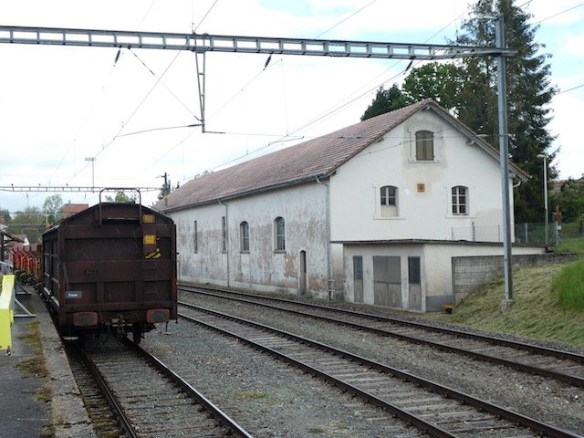 P1010634.jpeg