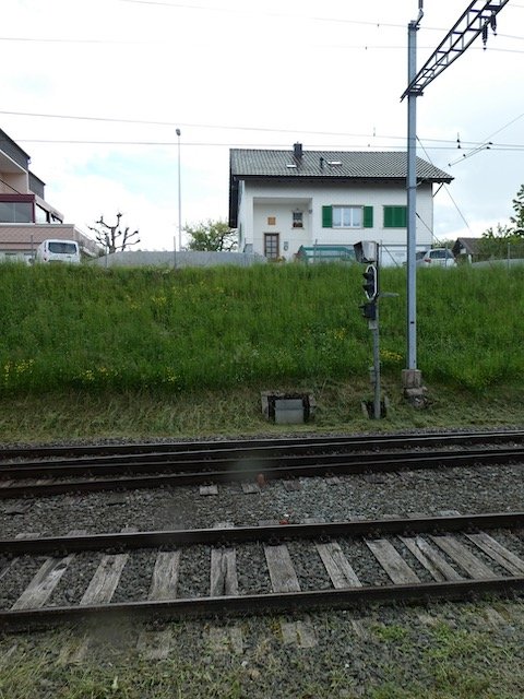 P1010659.jpeg