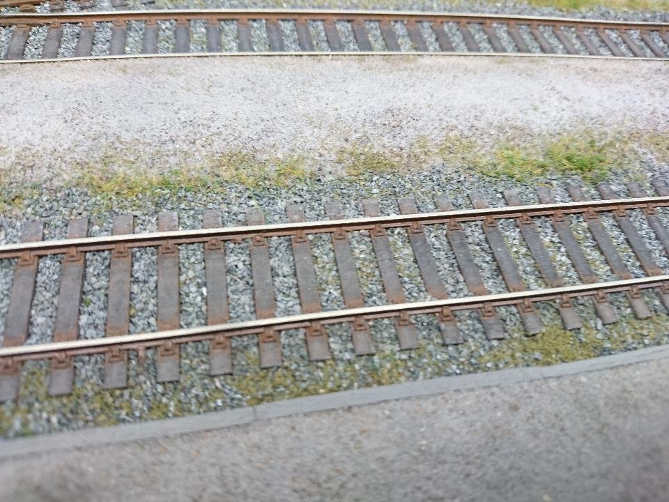 DSC_0004.JPG DSC_0004.JPG