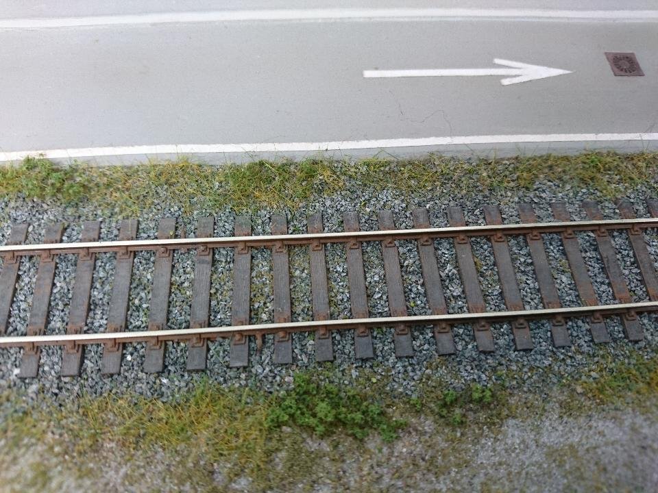 DSC_0005.JPG DSC_0005.JPG