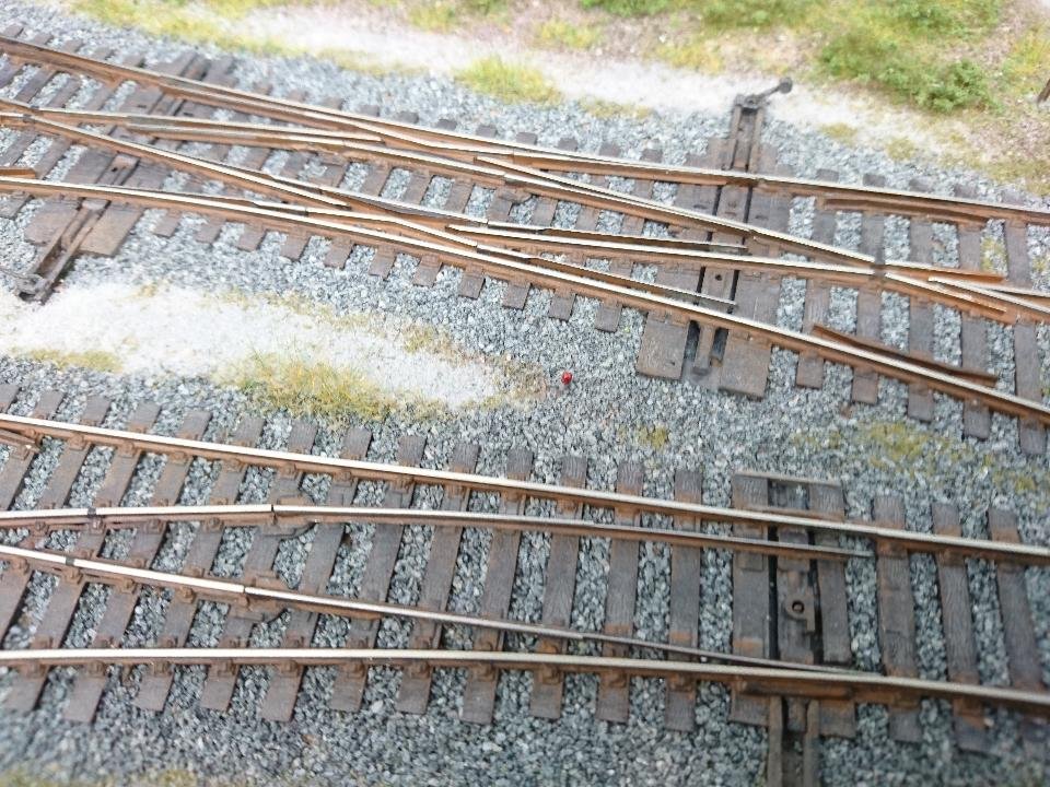 DSC_0006.JPG DSC_0006.JPG
