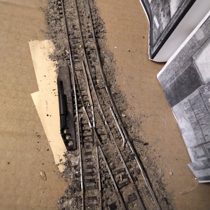 IMG_20220910_1750554.jpg IMG_20220910_1750554.jpg