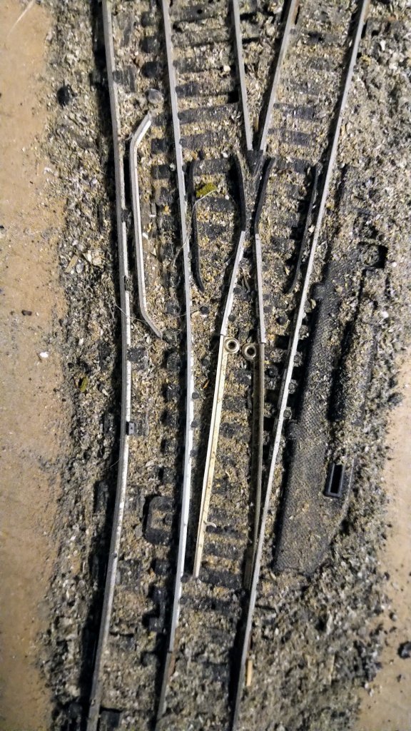 IMG_20220911_1015259~2.jpg IMG_20220911_1015259~2.jpg