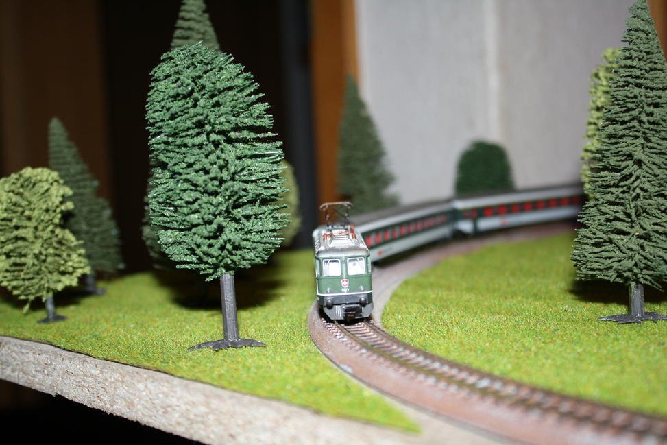 IMG_1917.jpg IMG_1917.jpg