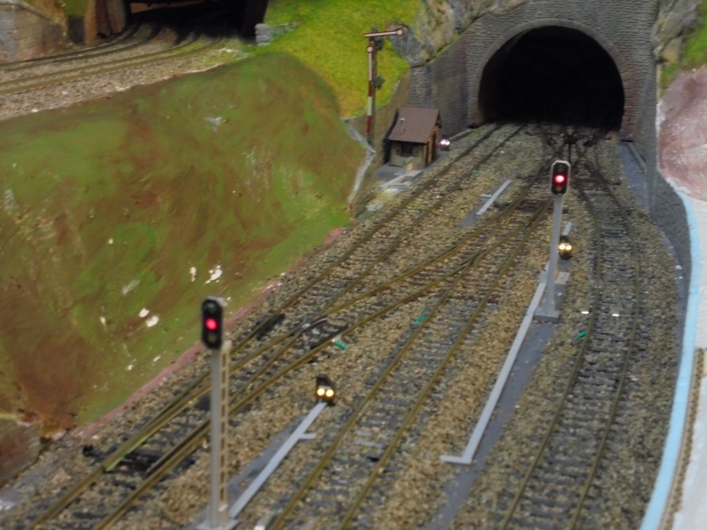 DSC00061.JPG DSC00061.JPG