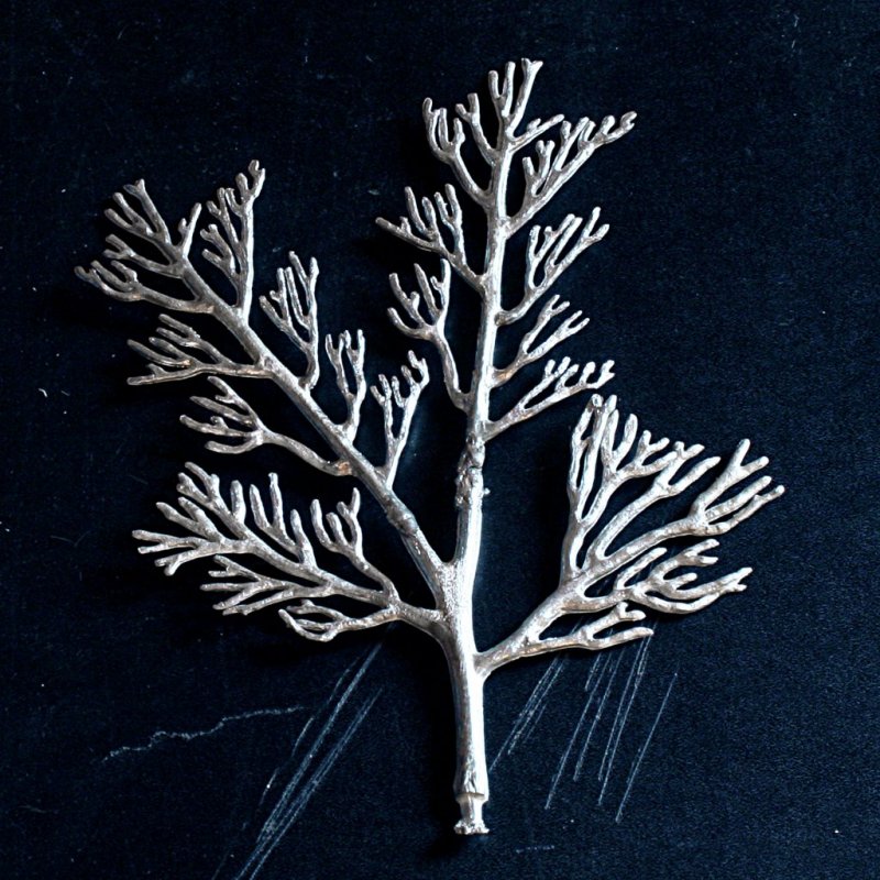 _b_250211 W_Soltär Rohlinge 02_red.jpg _b_250211 W_Soltär Rohlinge 02_red.jpg