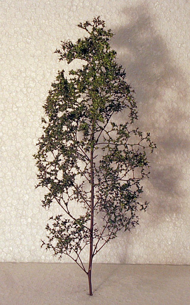 _b_250317 SbLaubbaum 04_red.jpg _b_250317 SbLaubbaum 04_red.jpg