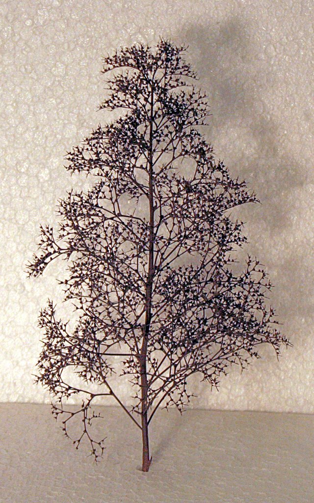 _b_250317 SbLaubbaum 01_red.jpg _b_250317 SbLaubbaum 01_red.jpg