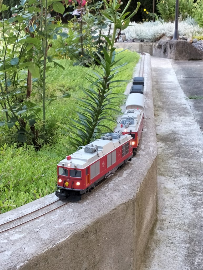 WhatsApp Image 2025-08-22 at 10.29.36.jpeg