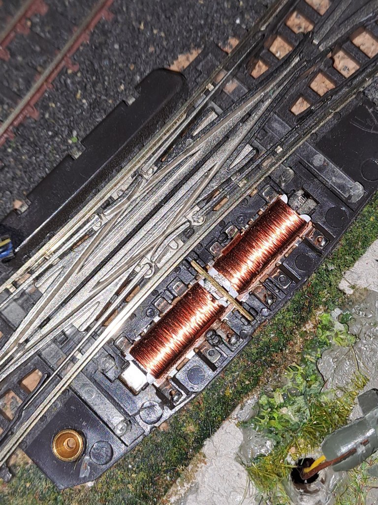 1000020665.jpg