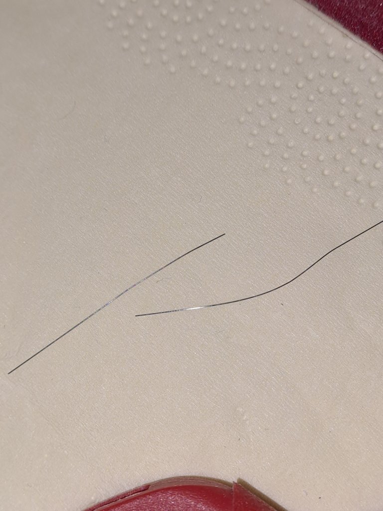 1000020666.jpg
