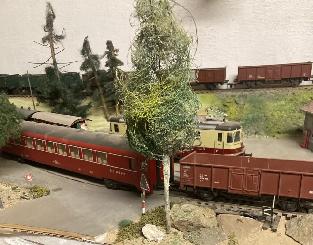 IMG_0511.jpeg