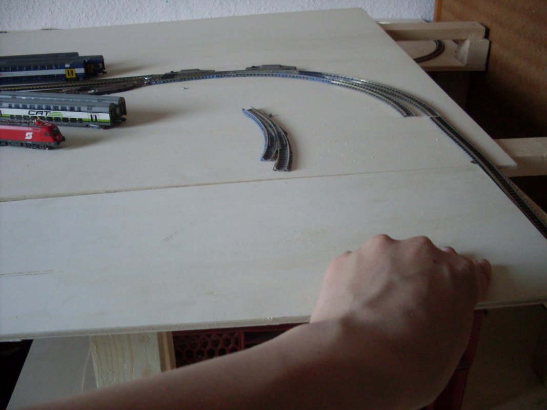 SDC10795.jpg