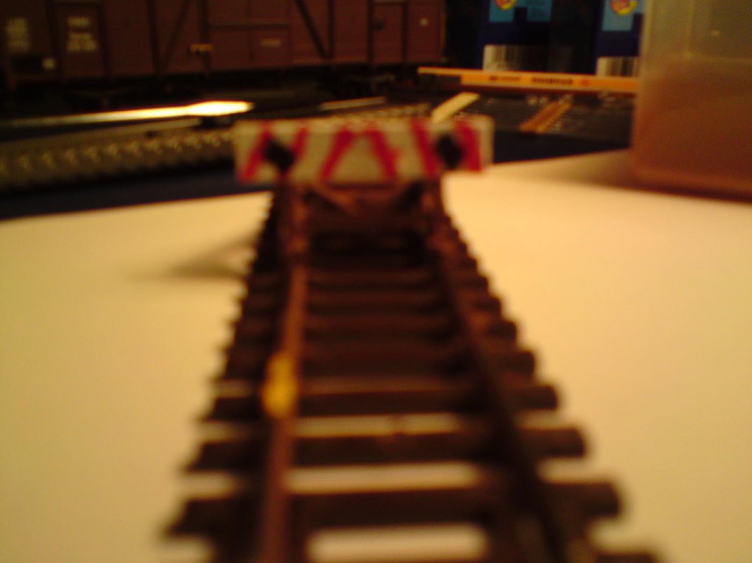 DSC01018.jpg