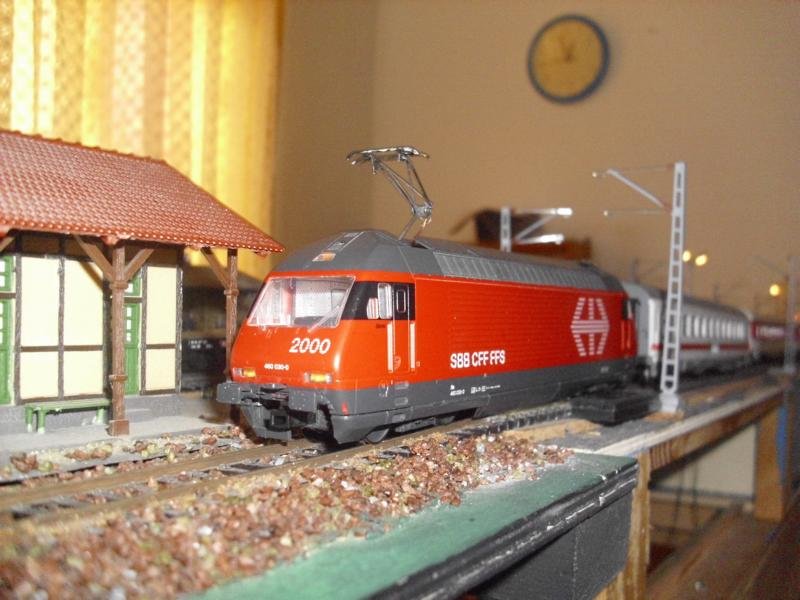 DSCI0050.JPG