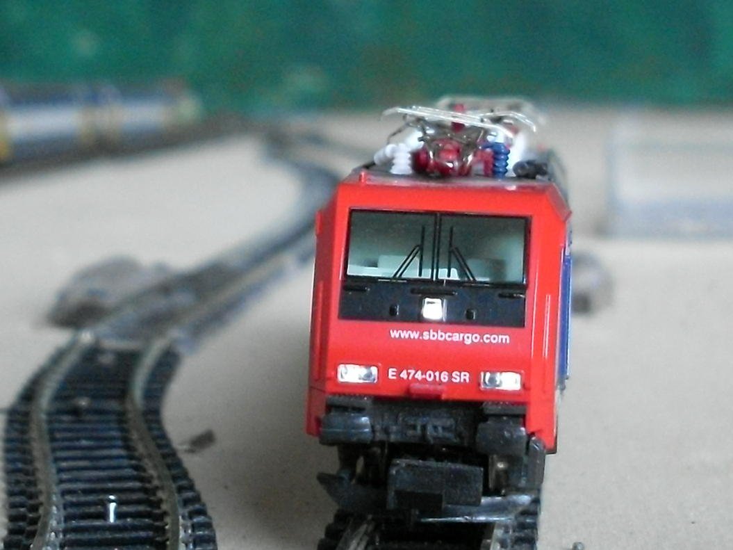 SDC11012.jpg