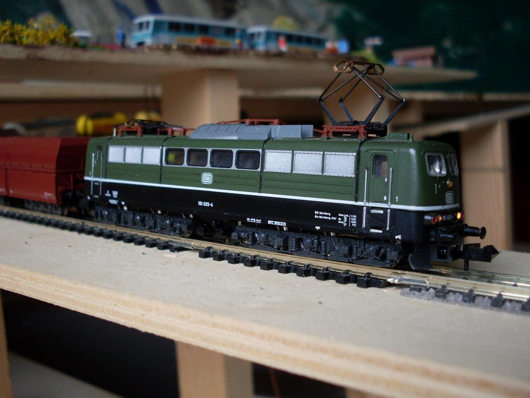 SDC11062.jpg